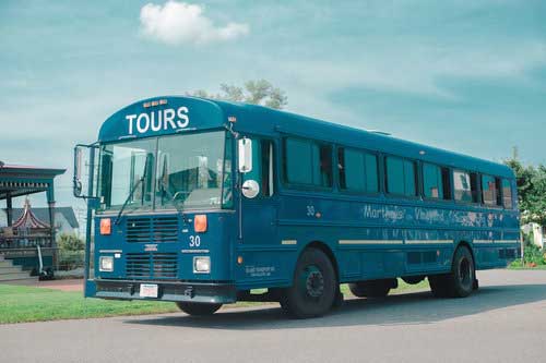 mv_sightseeing_blue_van_web